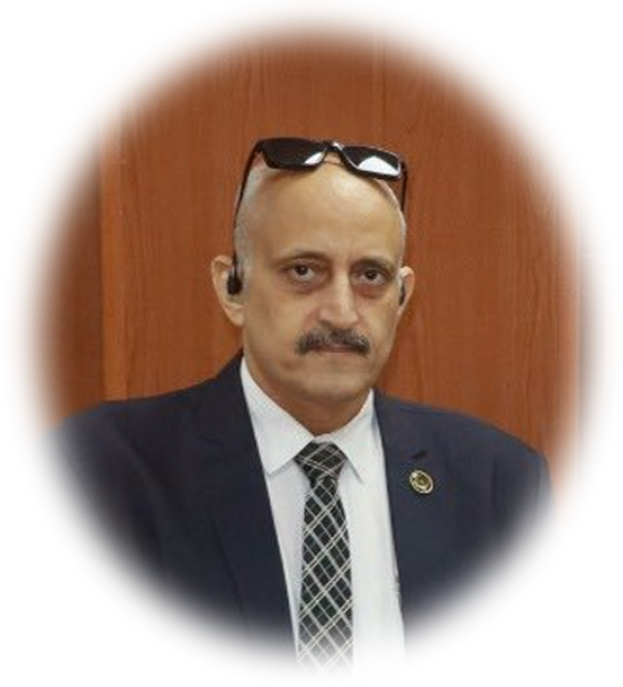 المحاسب / أيمن البراموني